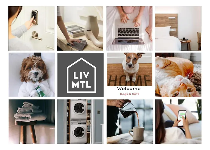 Liv Mtl Avenue