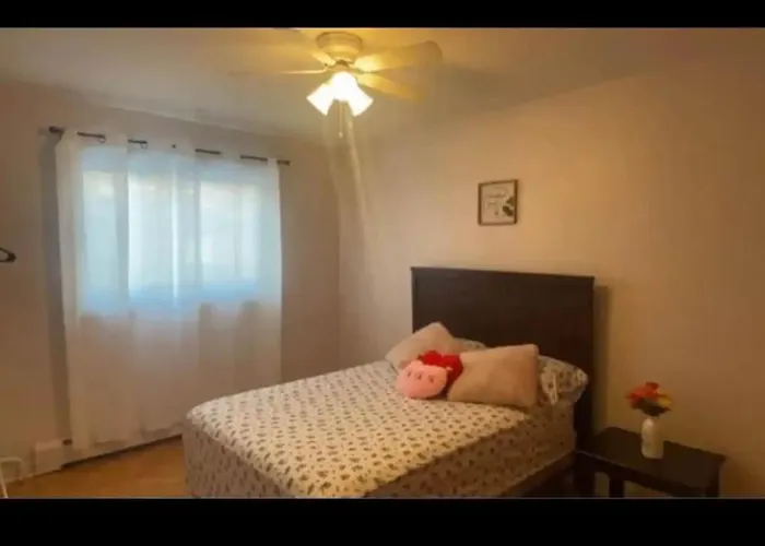 Montreal Three Bedroom Cozy Apartment