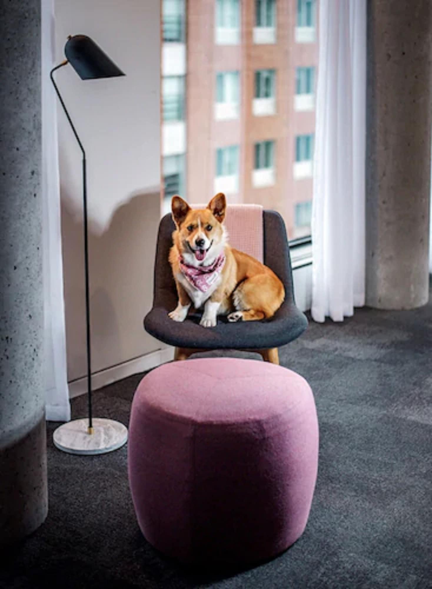 Hotel Monville Montreal