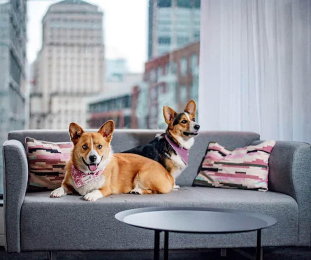 Monville Hotel Montreal
