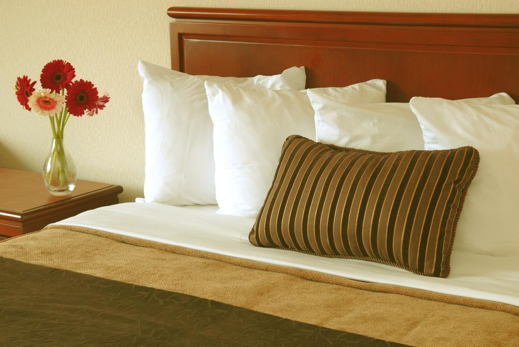 Quality And East Hotel 3*