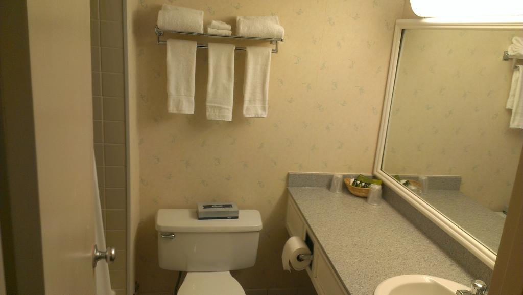 Mcgill University New Hall Hotel 3*