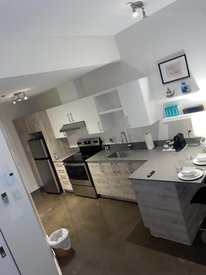 Loft Down Town Montreal