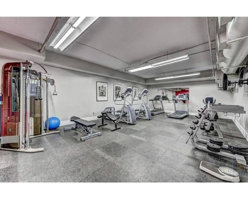 Golden Mile & Relocation Apartment Montreal