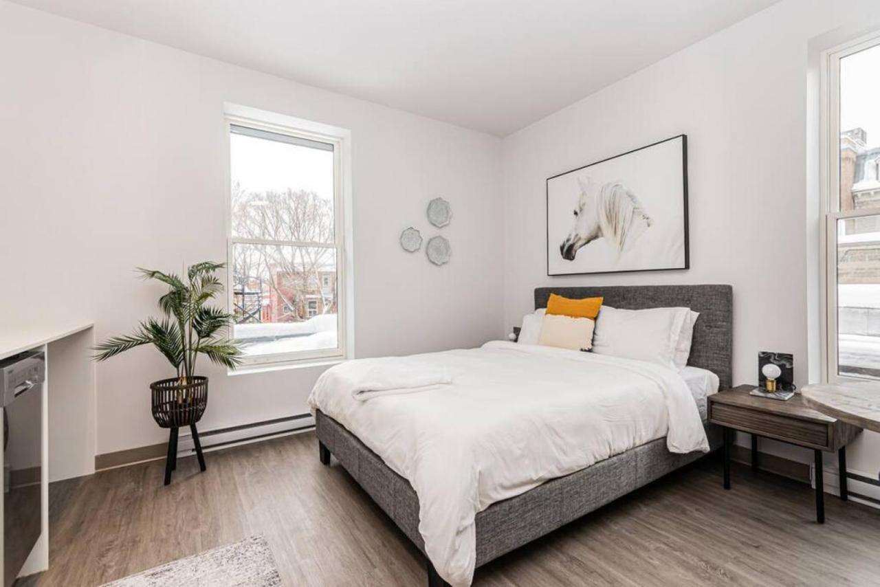Amazing New Close To Mount Royal Le Plateau By Denstays Apartment *
