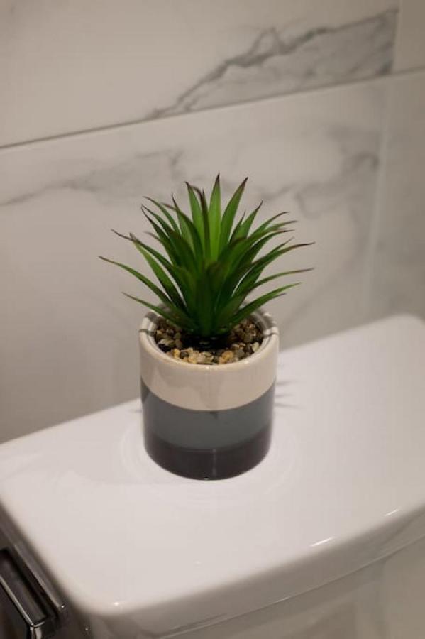 Palms Little Italy With Full Bathroom By Denstays