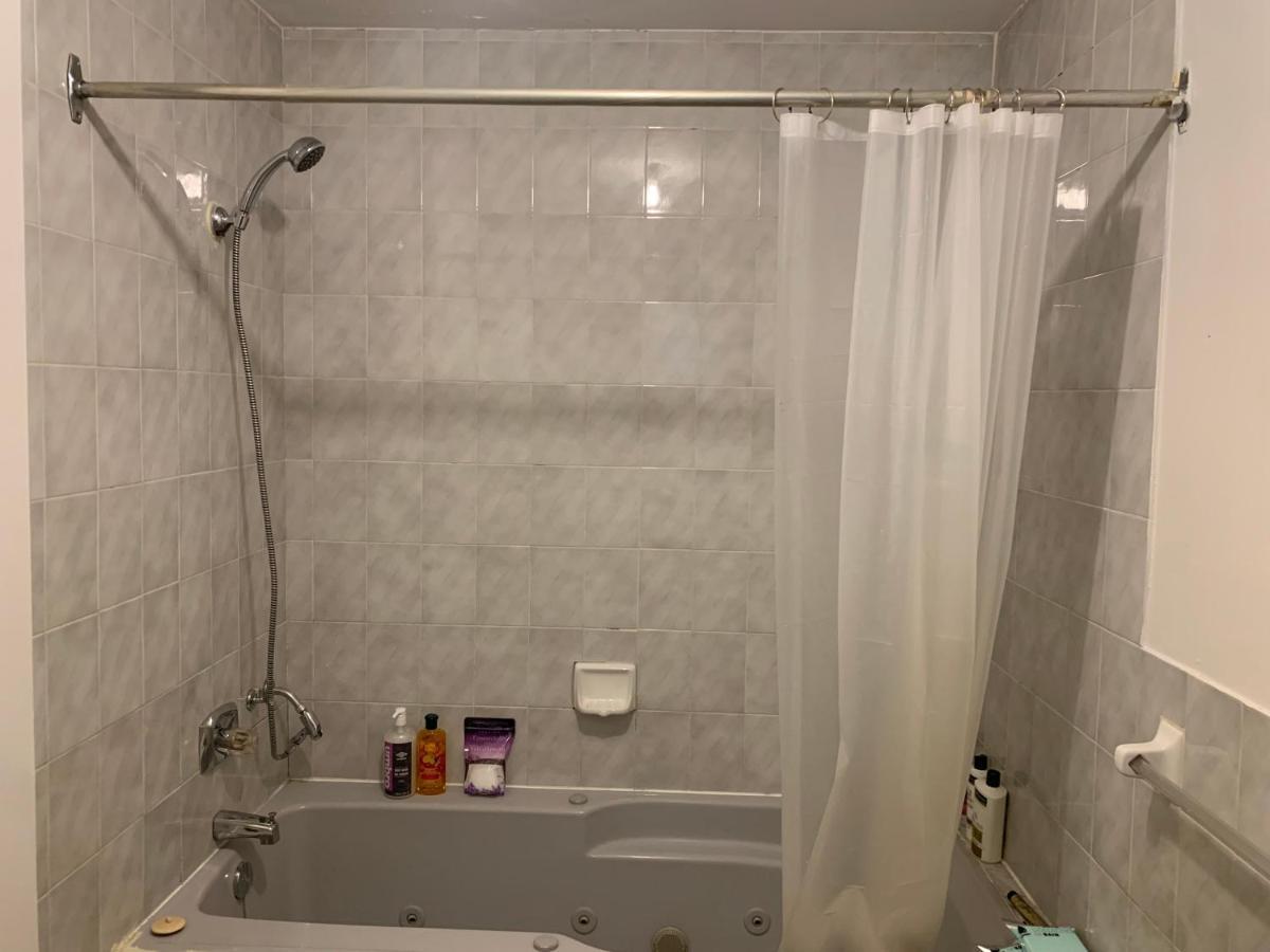1000 Square Foot Loft In Mile End, Apartment