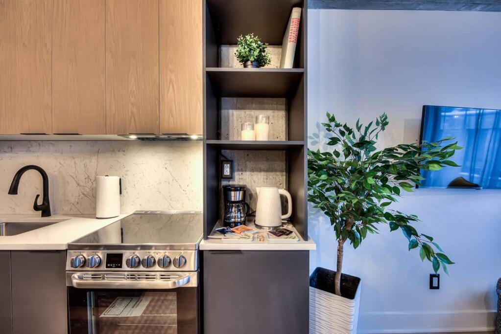 Brand New 2 Bd Modern In Old F2 Montreal