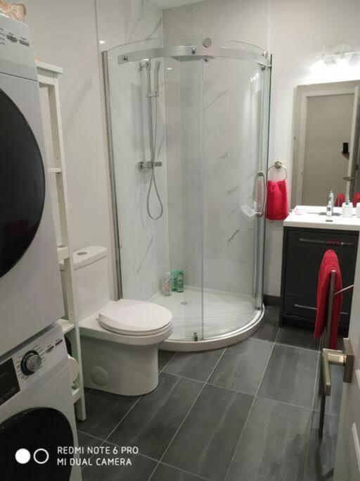 Studio Sous-sol Lachine 10 Min De Dt Montreal