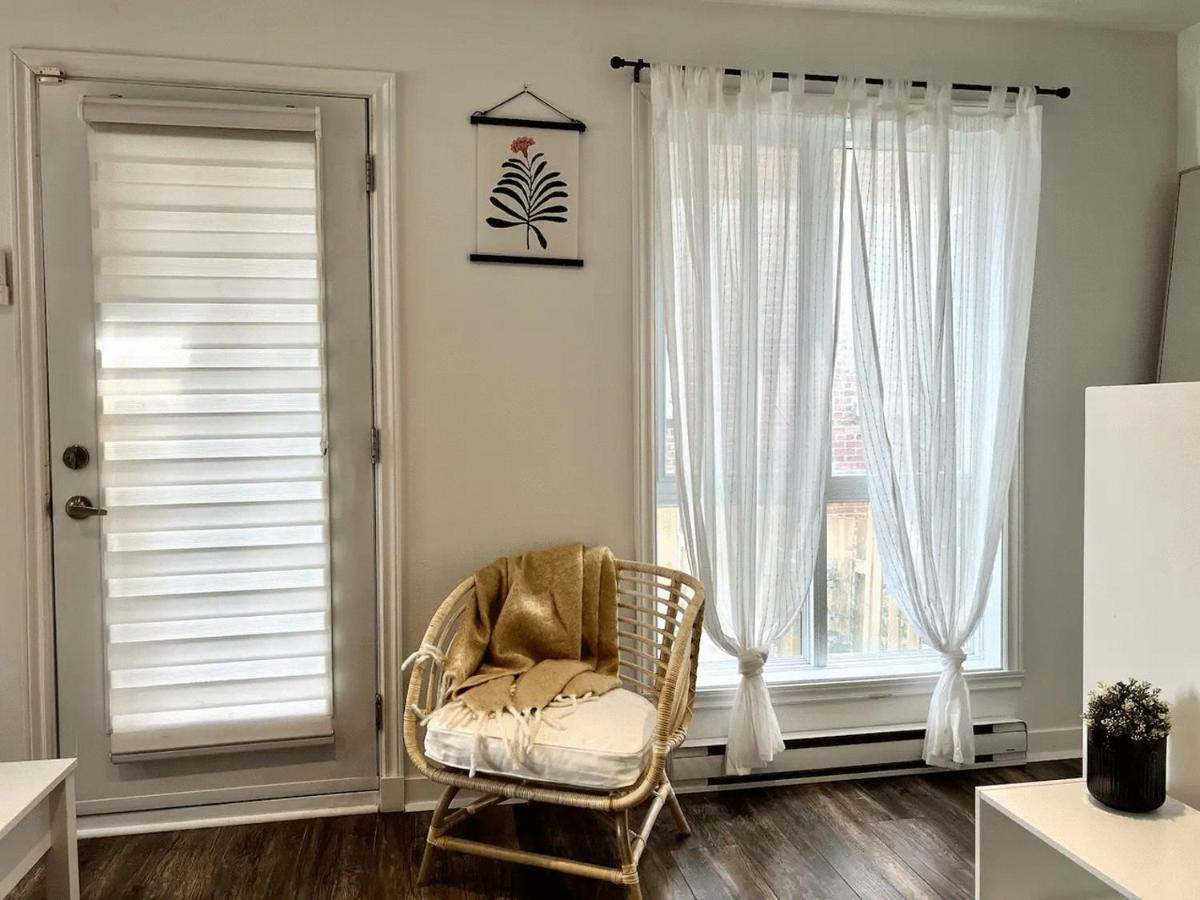 Spacious One In Two Floors Apartment-102