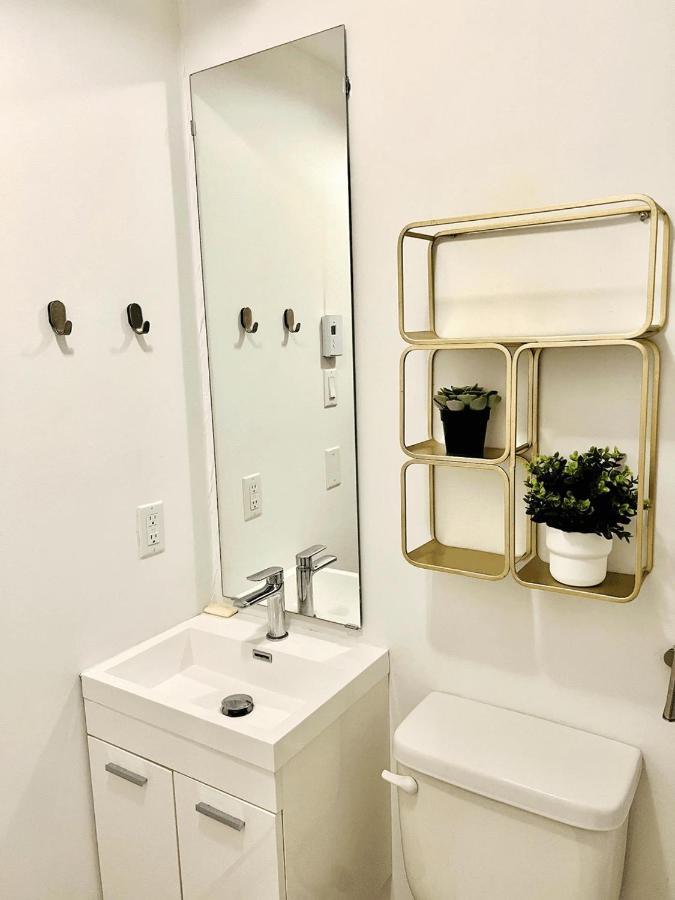 Spacious One In Two Floors Apartment-102 Apartment