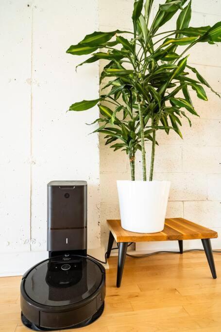 Mileend - Huge Bright & Modern Loft - Kingbed Apartment