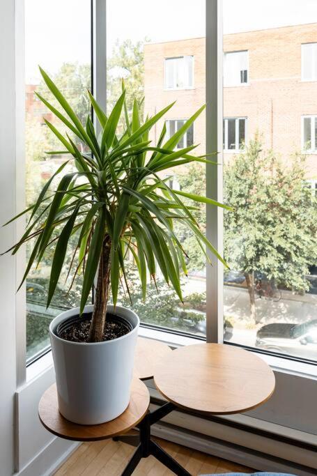 Mileend - Huge Bright & Modern Loft - Kingbed *
