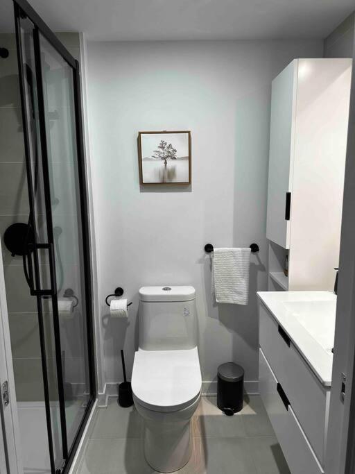 Bel Au Centre-ville Apartment