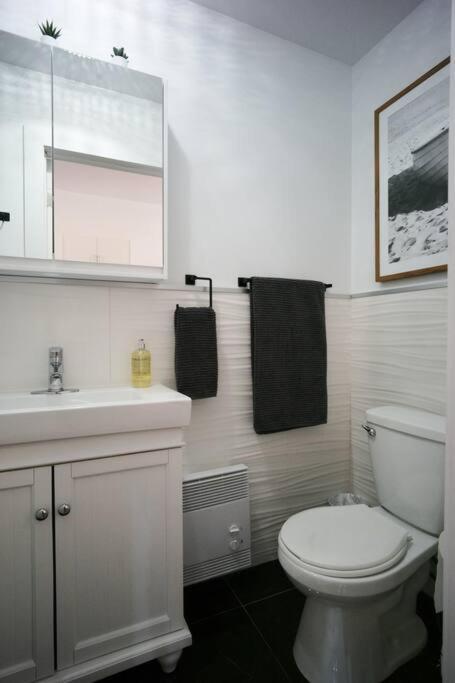 Hresidences Modern On Main St Laurent Blvd Apartment Montreal