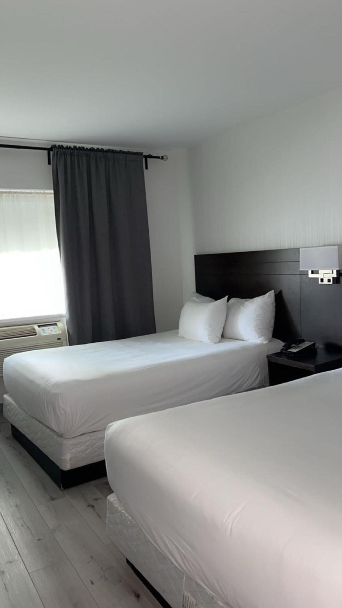 Newstar 3*