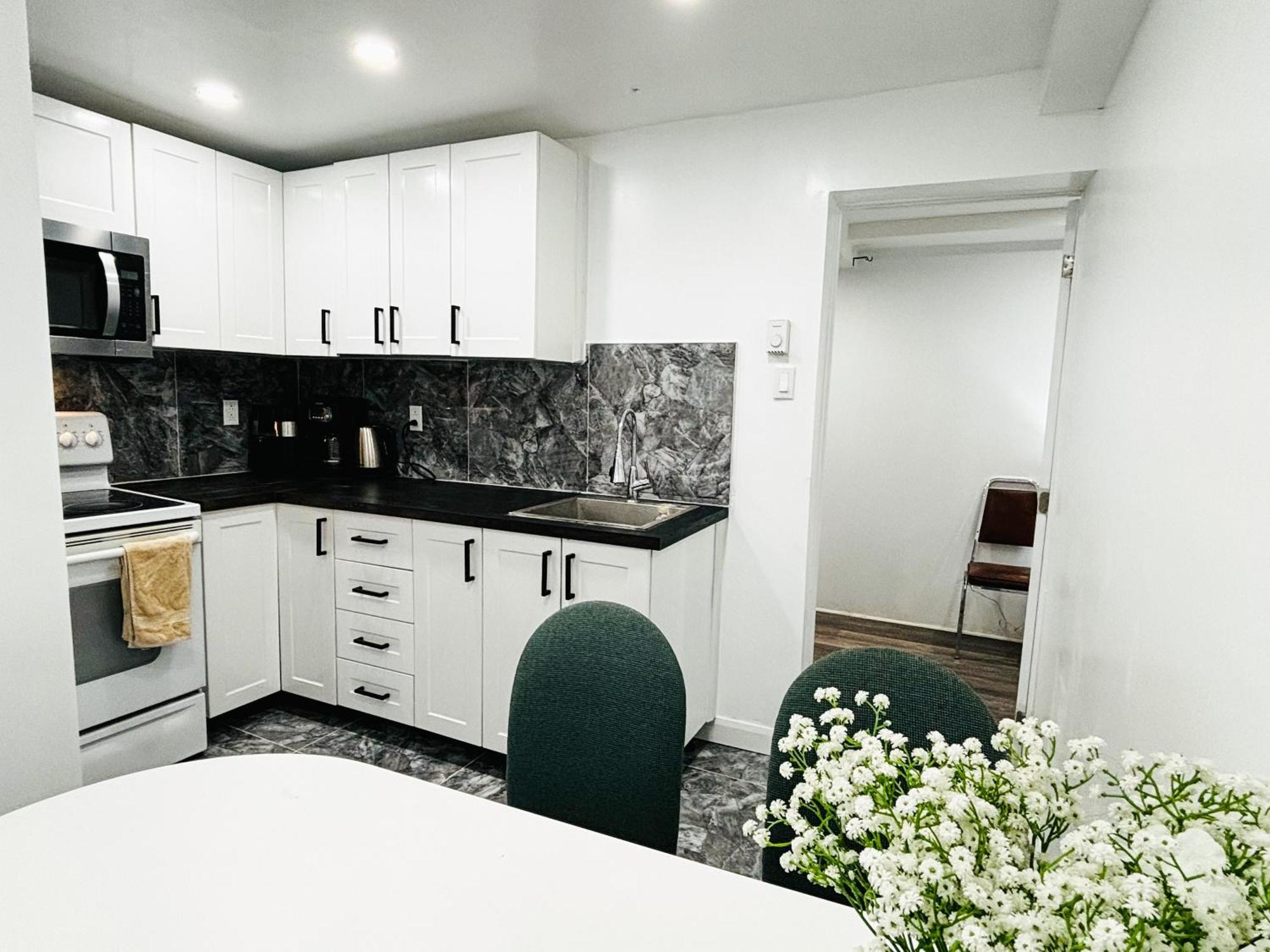 Entire Near Downtown & Trudeau Yul Airport Apartment *