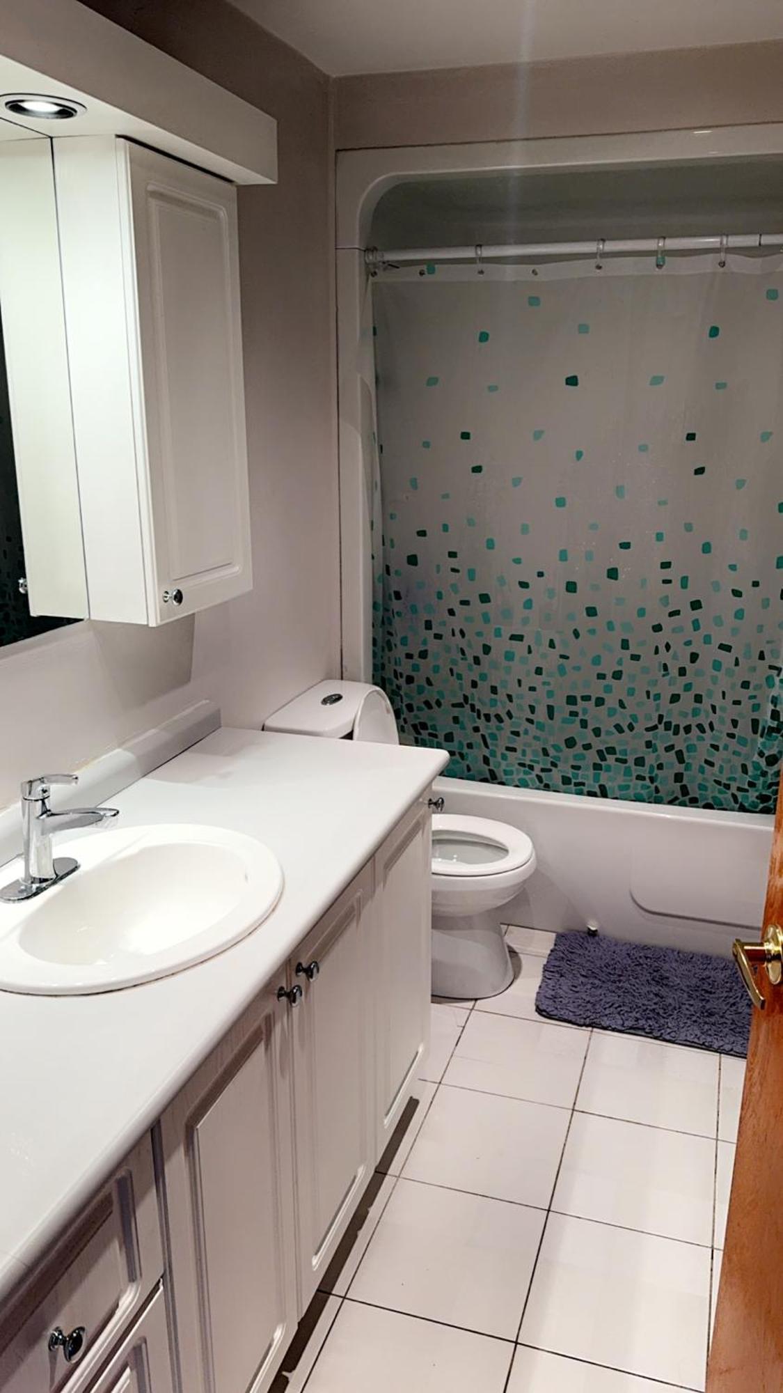 Three Bedroom Cozy Apartment Montreal