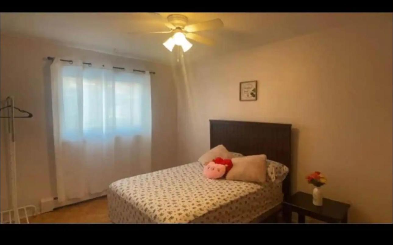 Three Bedroom Cozy *