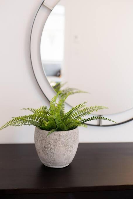 Sleek In The Heart Of Little Italy By Den *