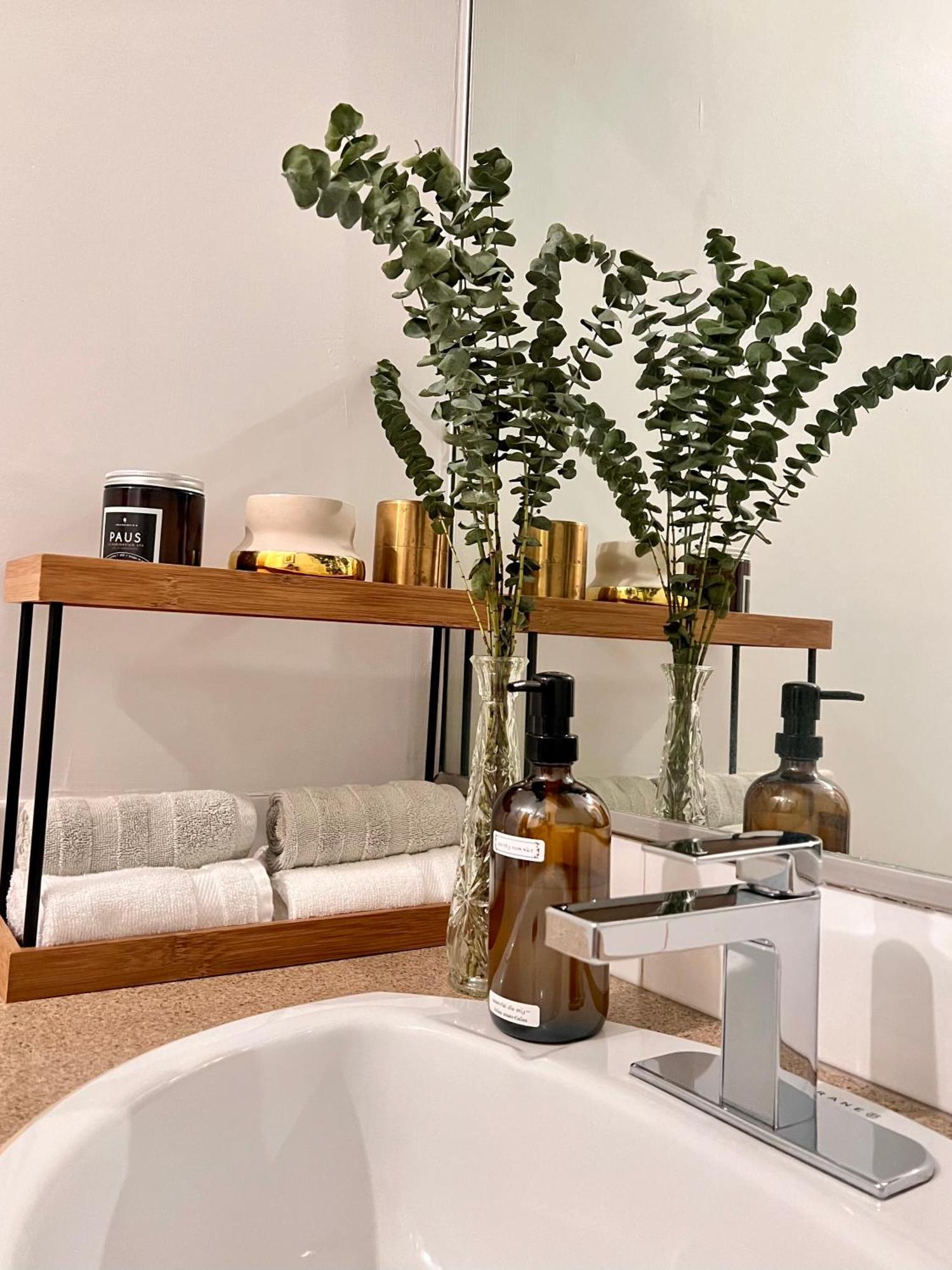 Apartment Elegant 1 Bedroom In Old Port- 301