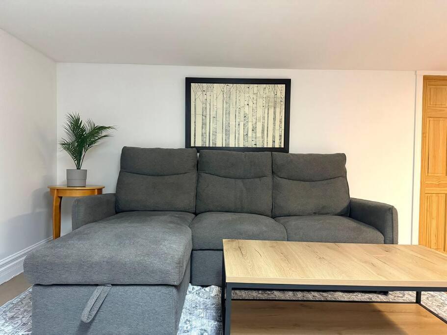 Spacious Little Italy, 1 King Bdr, 1 Db Bdr, 2 Sofa Beds, Yard Montreal