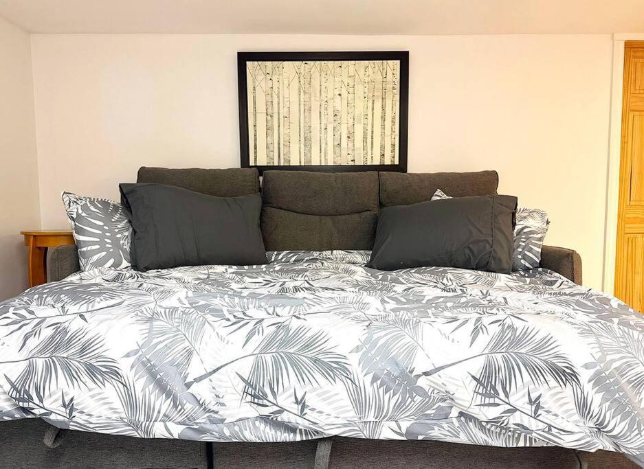 Apartment Spacious Little Italy, 1 King Bdr, 1 Db Bdr, 2 Sofa Beds, Yard Montreal