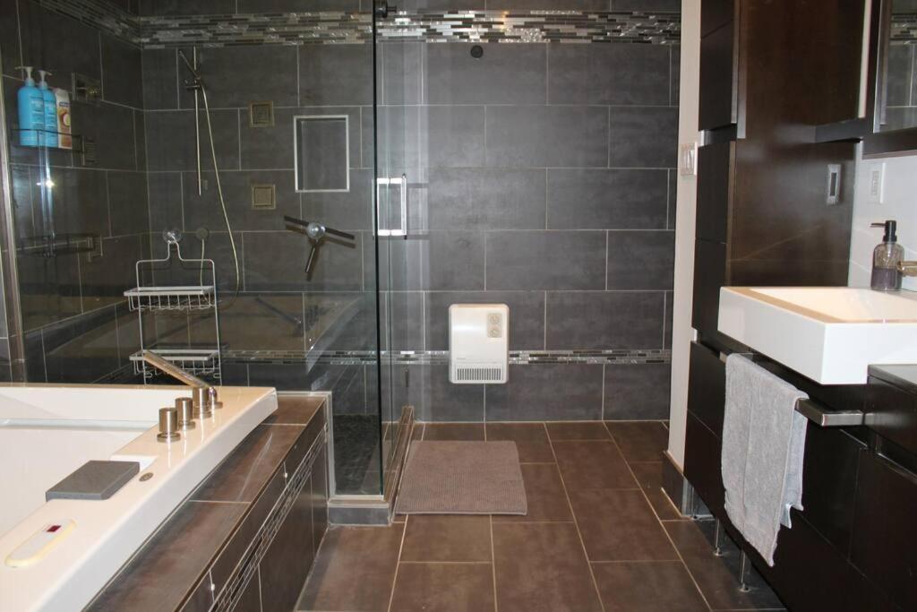 Spacious Little Italy, 1 King Bdr, 1 Db Bdr, 2 Sofa Beds, Yard Apartment