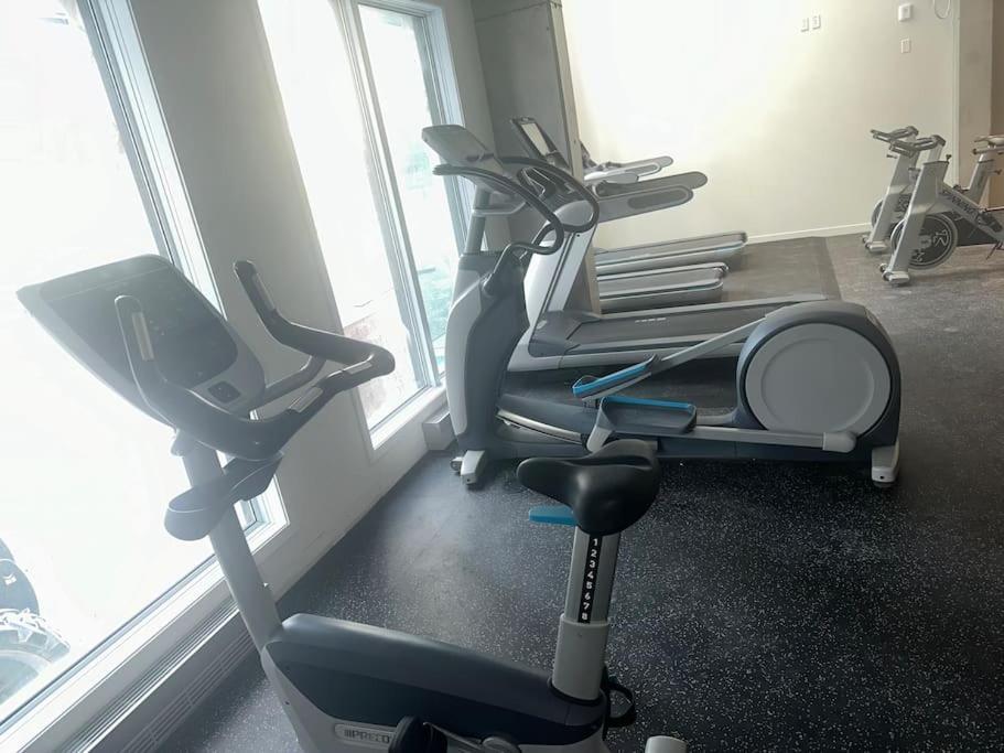 Griffintown Apartment Montreal