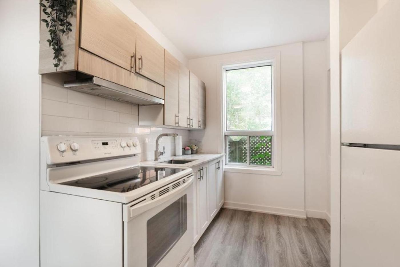 1 Bedroom With 2 Bed Near St-lawrence River-1011 Apartment Montreal
