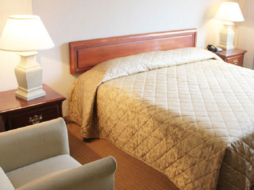 Hotel Des Arts Montreal