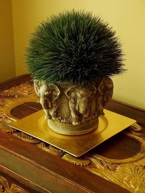 Bed & Breakfast Le Terra Nostra