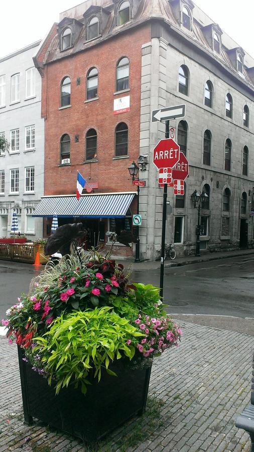 Alternative Hostel *