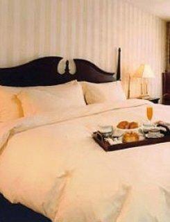 Maritime Plaza 4* Montreal