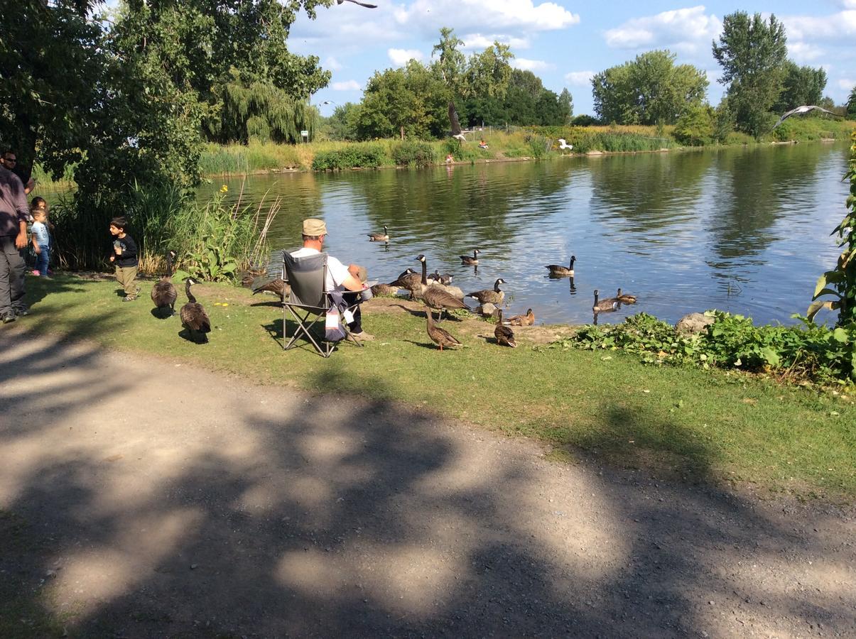 Le Des Rapides * Montreal