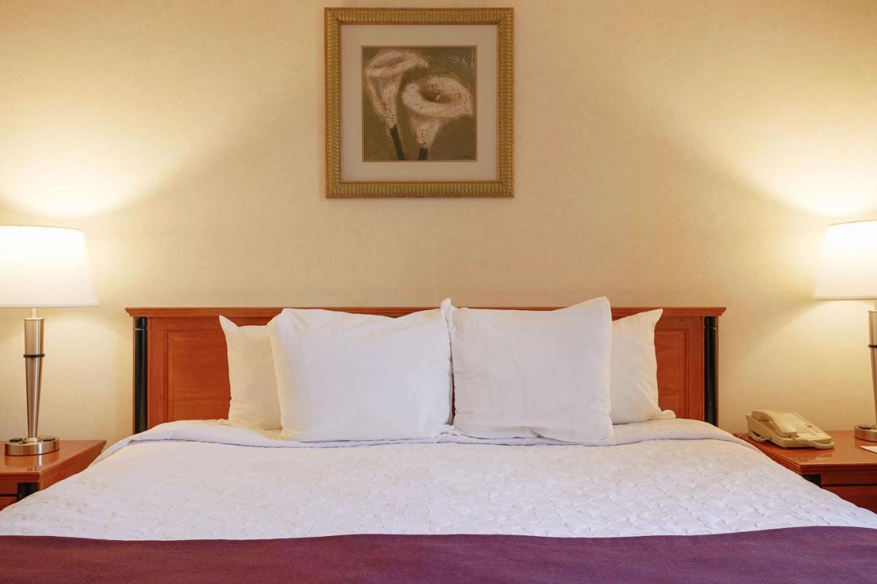 Hotel St-denis Montreal