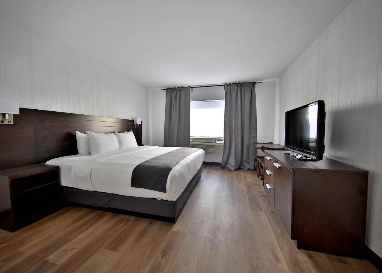 Newstar 3* Montreal