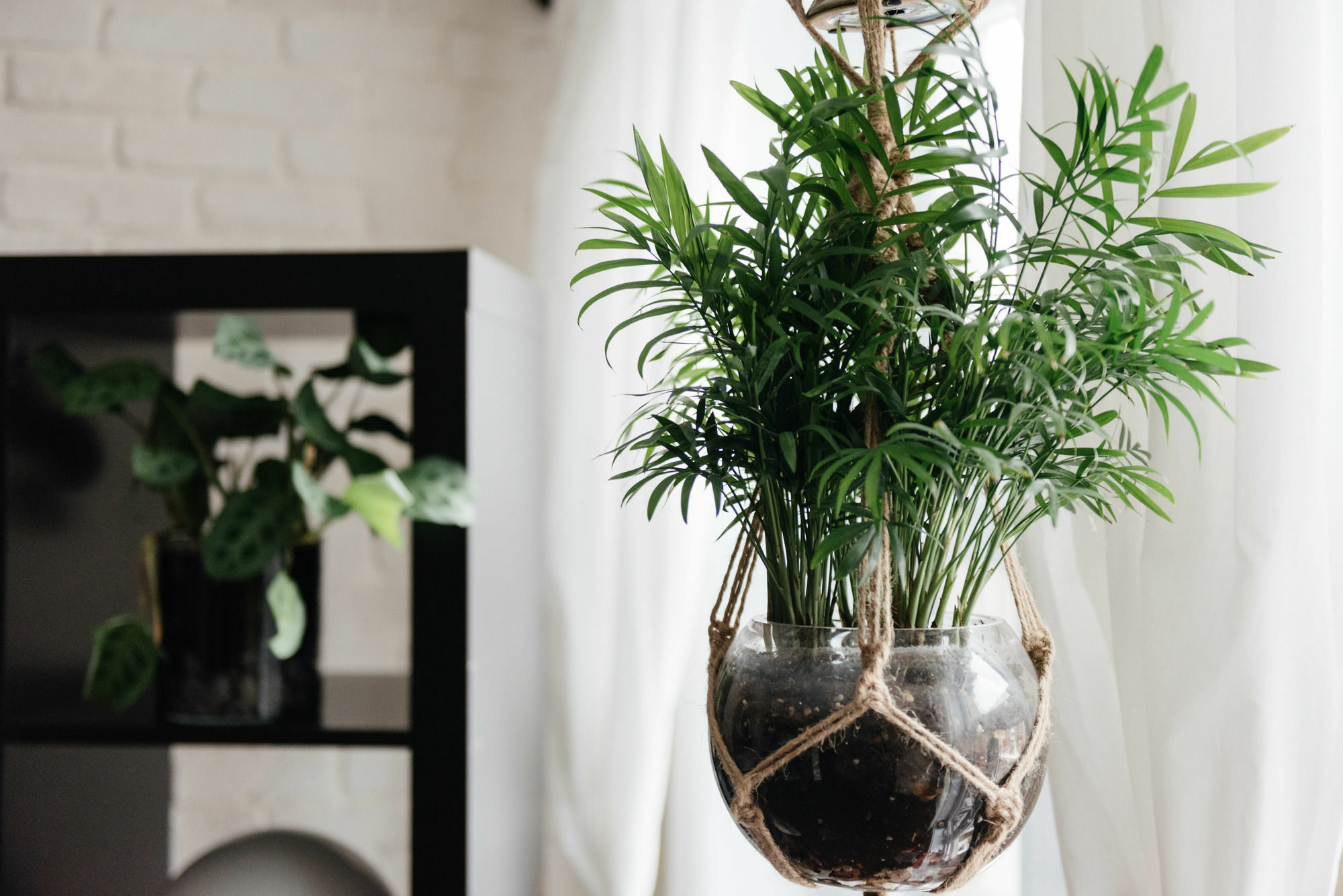 Bright 2br In Plateau By Sonder