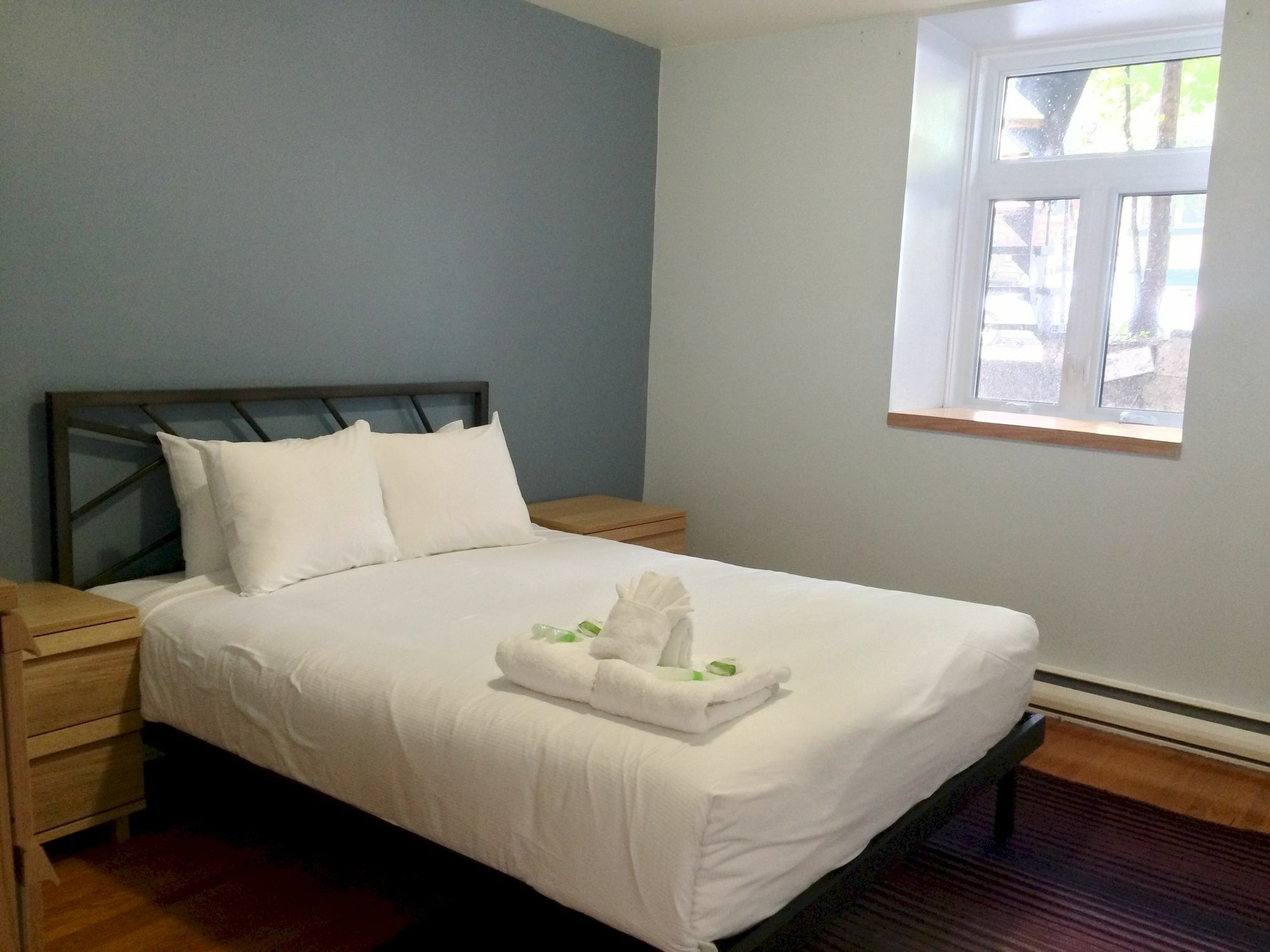 Playful 2br In Plateau By Sonder