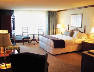 Hotel De La Montagne 4*