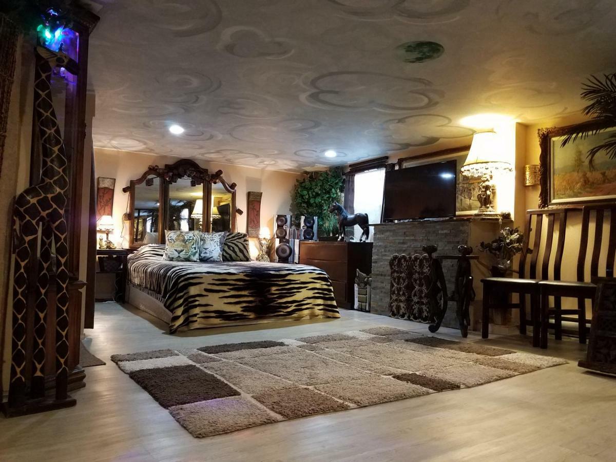 Exotic Large Basement Studio Guest house Montreal