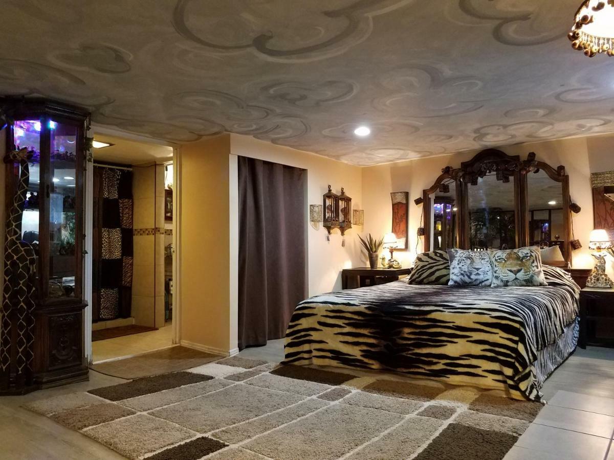Exotic Large Basement Studio Guest house Montreal