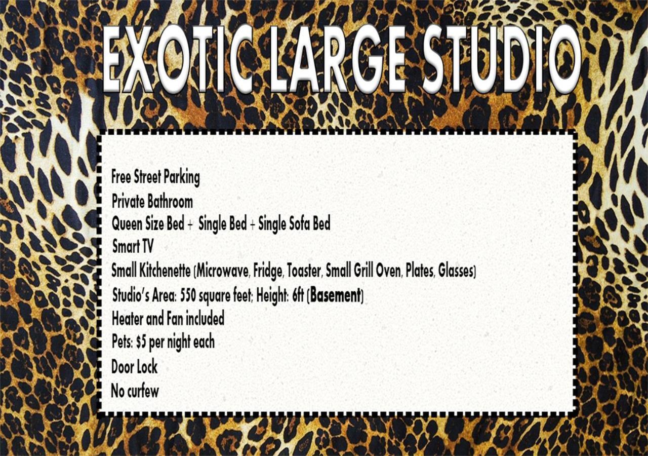 Exotic Large Basement Studio *