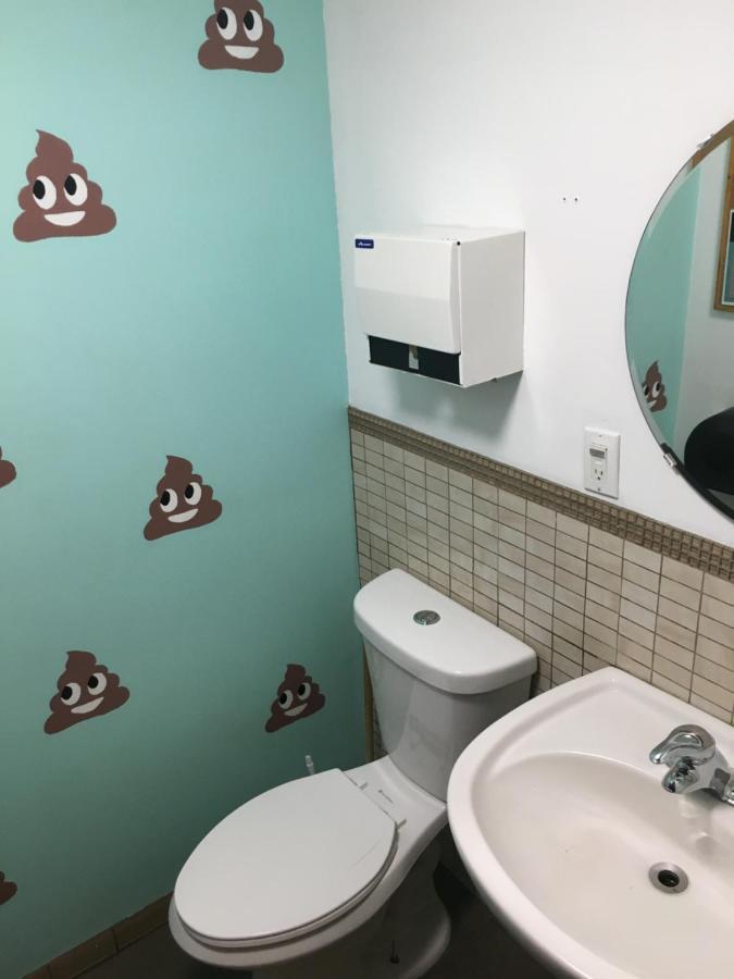 Alternative Hostel