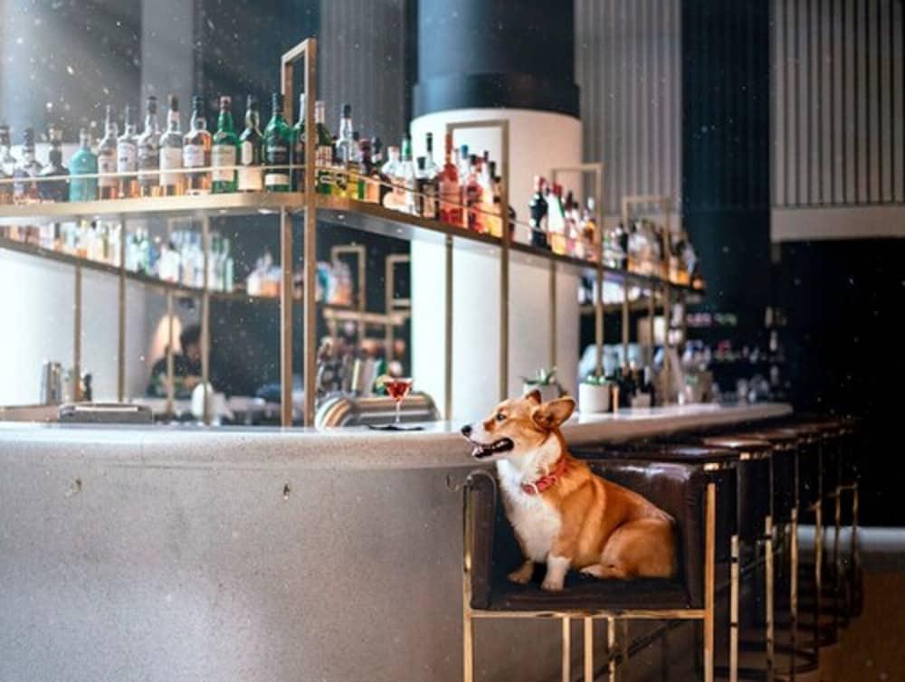 Hotel Monville Montreal